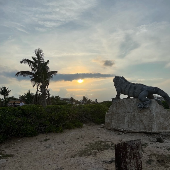 Meet your Posher, Sabrena - Picture 1 of 1